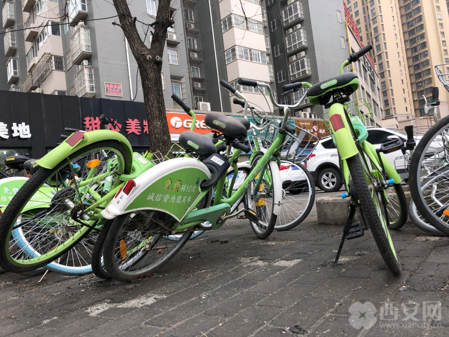 酷奇单车沦为城市新垃圾 市民呼吁相关部门管